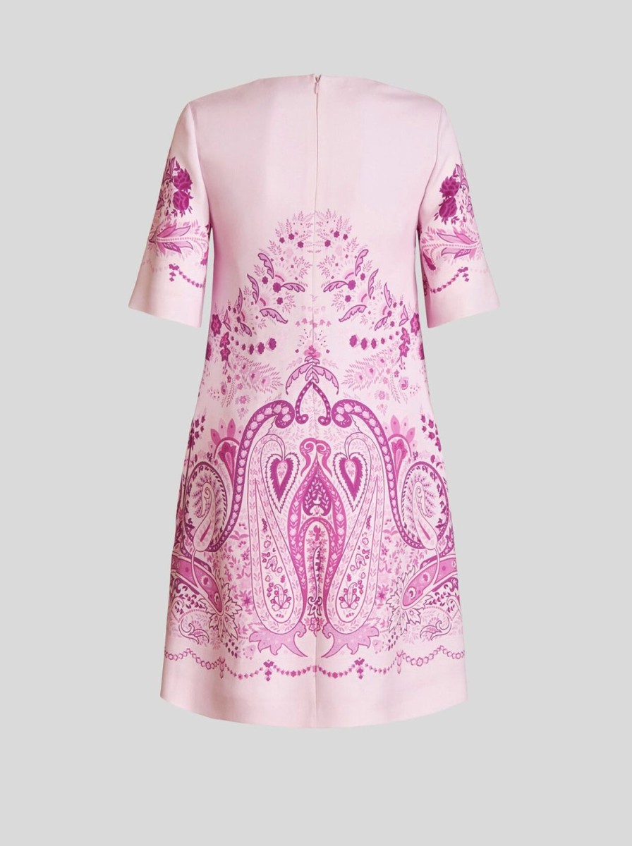 Women etro | Dress-Pink